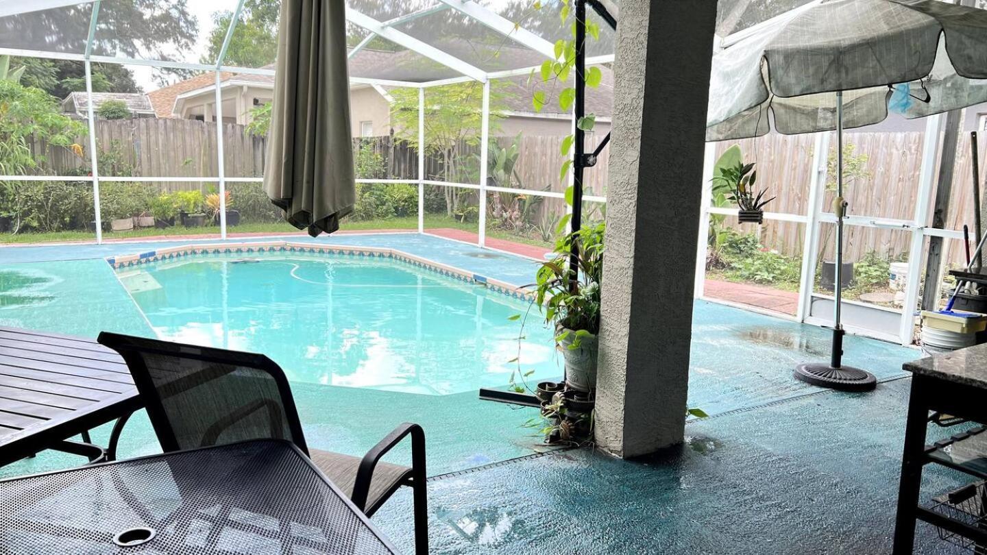 Room In Citrus Park And Carollwood, Close To The Airport & Downtown 탬파 외부 사진
