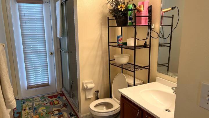 Room In Citrus Park And Carollwood, Close To The Airport & Downtown 탬파 외부 사진